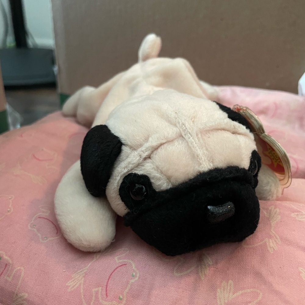 Puglsy!
